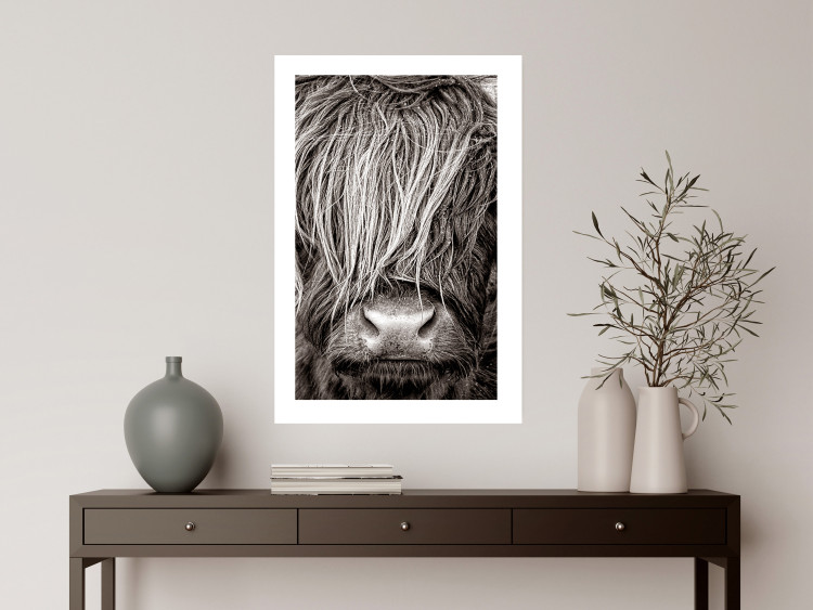 Poster Face to Face with Nature - black and white portrait of an animal with hair 130266 additionalImage 3