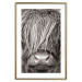 Poster Face to Face with Nature - black and white portrait of an animal with hair 130266 additionalThumb 14