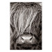 Poster Face to Face with Nature - black and white portrait of an animal with hair 130266