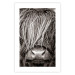 Poster Face to Face with Nature - black and white portrait of an animal with hair 130266 additionalThumb 25