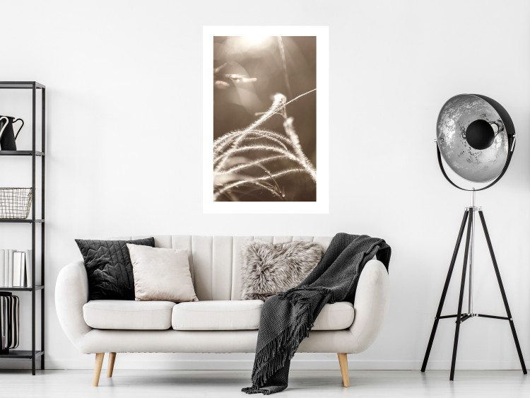 Wall Poster Fluffy Grass - a natural landscape of grass on a meadow in sepia tones 130766 additionalImage 6