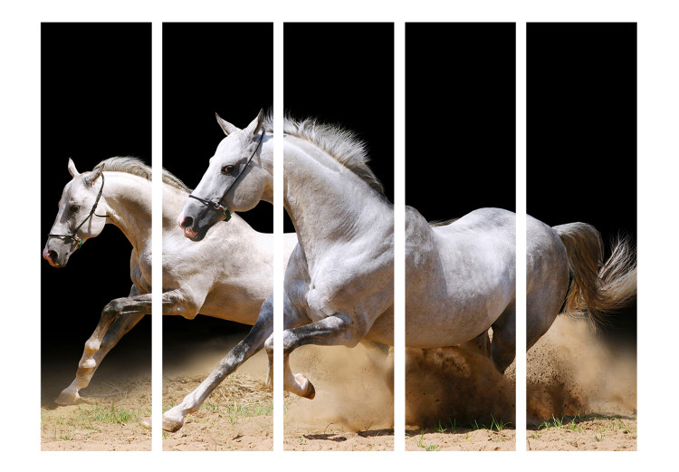 Room Separator Gallop on the Sand II (5-piece) - galloping white horses on a black background 132566 additionalImage 3