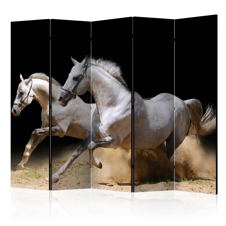 Room Separator Gallop on the Sand II (5-piece) - galloping white horses on a black background 132566