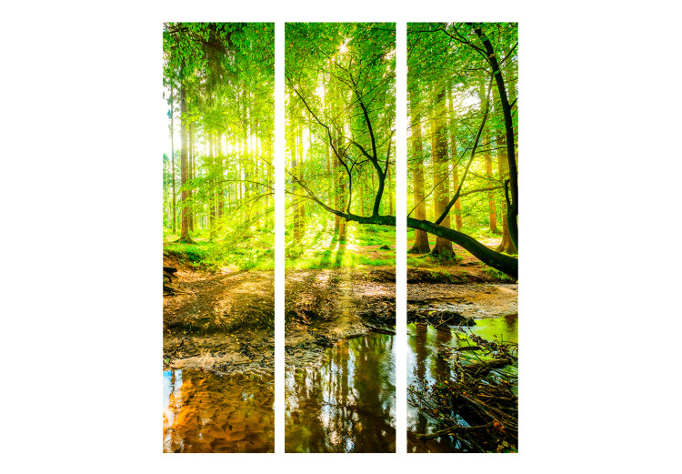 Room Divider Screen Forest Stream (3-piece) - waterscape among deciduous tree canopies 132766 additionalImage 3