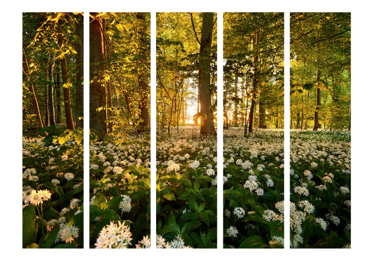 Room Divider Forest Flora II - meadow with white flowers among forest trees in sunlight 134066 additionalImage 3