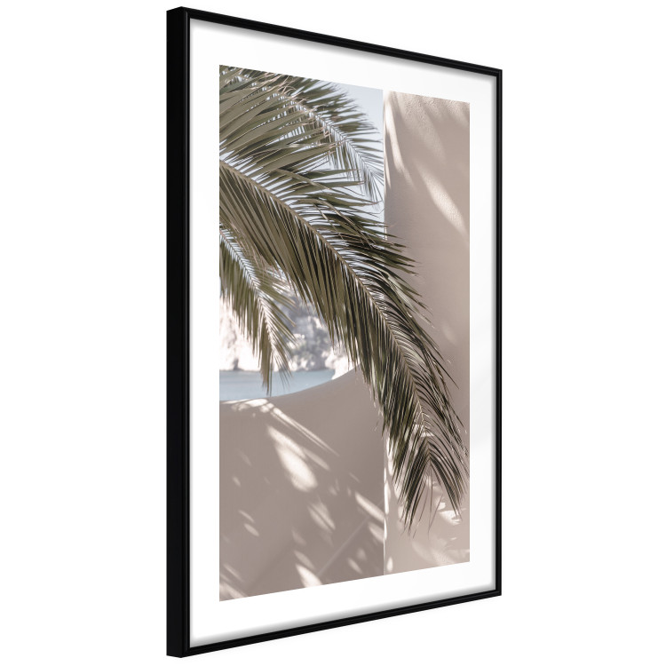 Wall Poster Terrace with a View - natural composition of palm tree against a light wall 134766 additionalImage 8