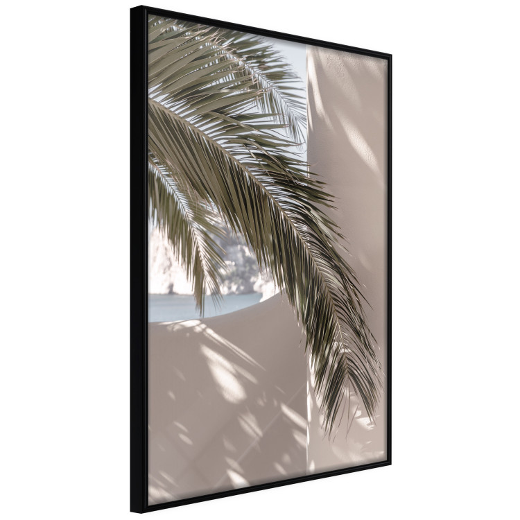Wall Poster Terrace with a View - natural composition of palm tree against a light wall 134766 additionalImage 11