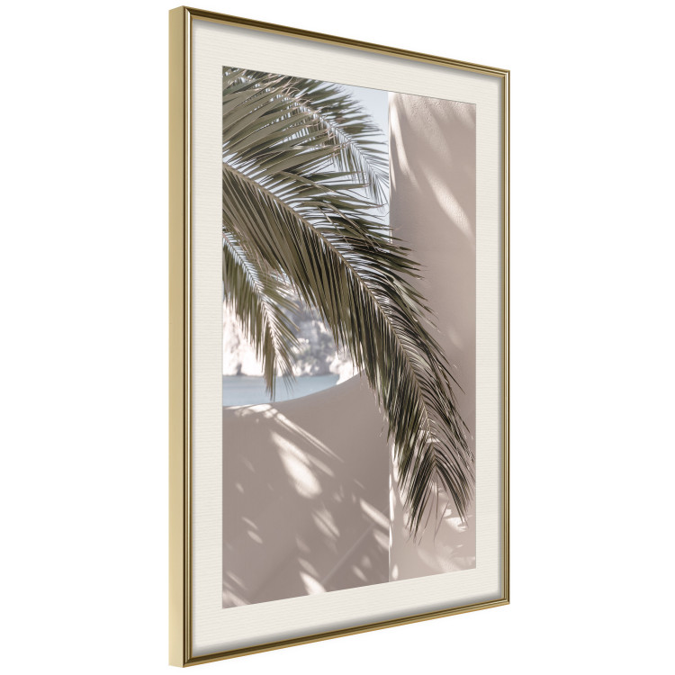 Wall Poster Terrace with a View - natural composition of palm tree against a light wall 134766 additionalImage 3