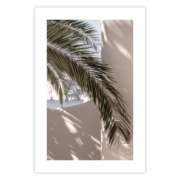 Wall Poster Terrace with a View - natural composition of palm tree against a light wall 134766 additionalImage 25
