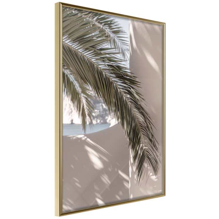 Wall Poster Terrace with a View - natural composition of palm tree against a light wall 134766 additionalImage 12