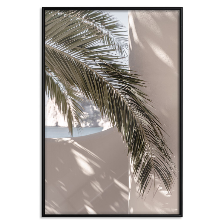 Wall Poster Terrace with a View - natural composition of palm tree against a light wall 134766 additionalImage 16