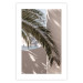 Wall Poster Terrace with a View - natural composition of palm tree against a light wall 134766 additionalThumb 25