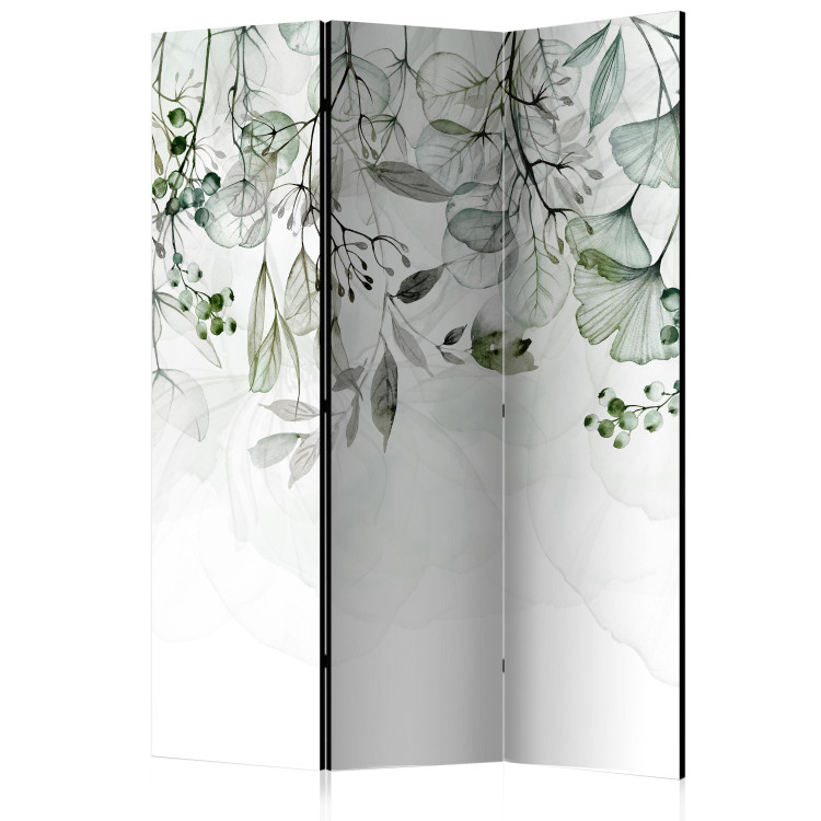 Room Separator Misty Nature - Green (3-piece) - Plant composition on white 136166