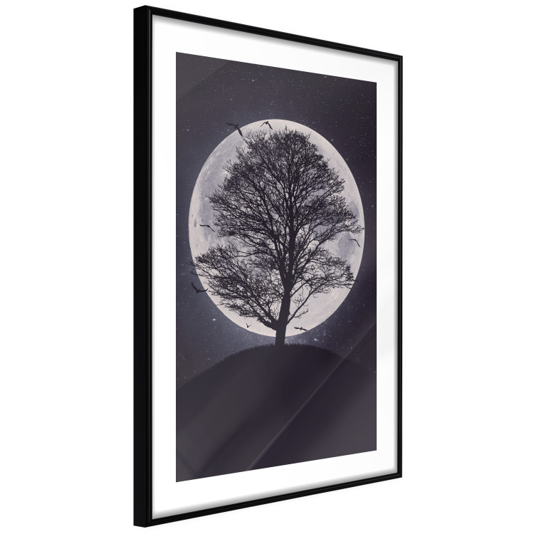 Poster Lonely Tree - nighttime landscape of a tree against the bright moonlight 138066 additionalImage 4
