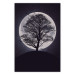 Poster Lonely Tree - nighttime landscape of a tree against the bright moonlight 138066