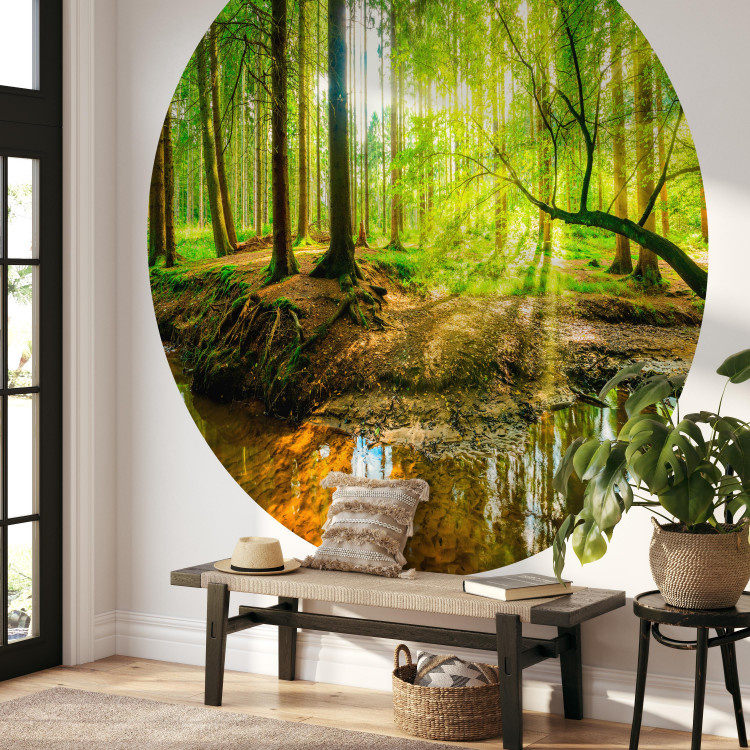 Round wallpaper Forest Pond - Colorful Water Among Green Trees and Vegetation 149166 additionalImage 3