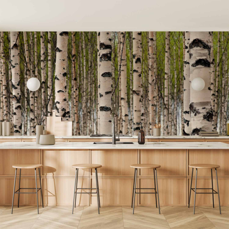 Photo Wallpaper Birch Grove - Forest Landscape with Numerous Tree Trunks in the Center 60566 additionalImage 6