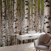 Photo Wallpaper Birch Grove - Forest Landscape with Numerous Tree Trunks in the Center 60566 additionalThumb 4