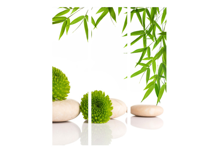 Folding Screen Green Relaxation - stones and green plants in a Zen style on a white background 96066 additionalImage 3