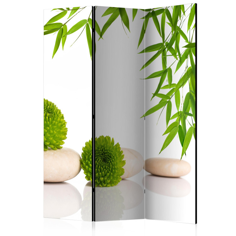 Folding Screen Green Relaxation - stones and green plants in a Zen style on a white background 96066