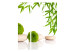 Folding Screen Green Relaxation - stones and green plants in a Zen style on a white background 96066 additionalThumb 3