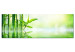 Canvas Print Green Bamboo 97466