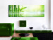 Canvas Print Green Bamboo 97466 additionalThumb 3
