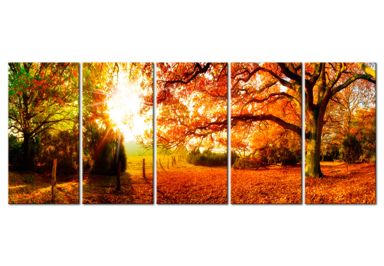 Canvas Print Enchanting Autumn 98566