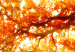 Canvas Print Enchanting Autumn 98566 additionalThumb 4