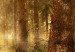 Canvas Print Roar in the Forest I 106576 additionalThumb 4