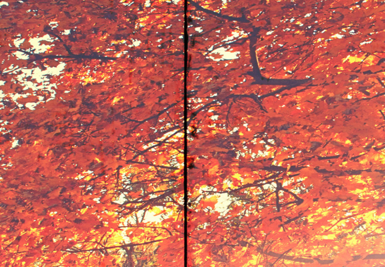 Canvas Art Print Autumn Sun (5 Parts) Wide 107476 additionalImage 5