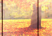Canvas Art Print Autumn Sun (5 Parts) Wide 107476 additionalThumb 4