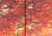 Canvas Art Print Autumn Sun (5 Parts) Wide 107476 additionalThumb 5