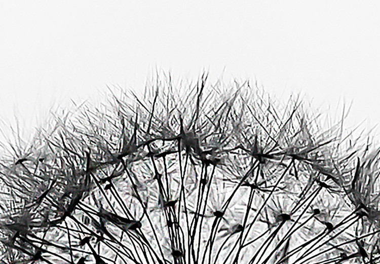 Canvas Nature's Lightness (1-part) - Dandelion Flower in Black and White 114976 additionalImage 4
