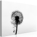 Canvas Nature's Lightness (1-part) - Dandelion Flower in Black and White 114976 additionalThumb 2