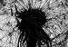 Canvas Nature's Lightness (1-part) - Dandelion Flower in Black and White 114976 additionalThumb 5
