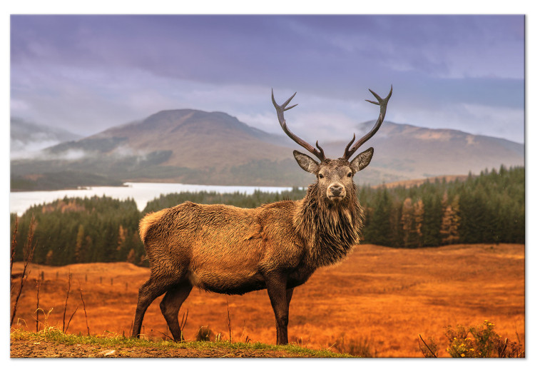 Canvas Print Mountain Stag (1-part) - Animal Amid Sky and Forest Landscape 117276