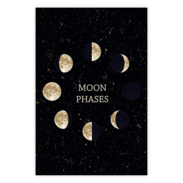 Poster Lunar Cycle - composition with moon phases and English texts 117776