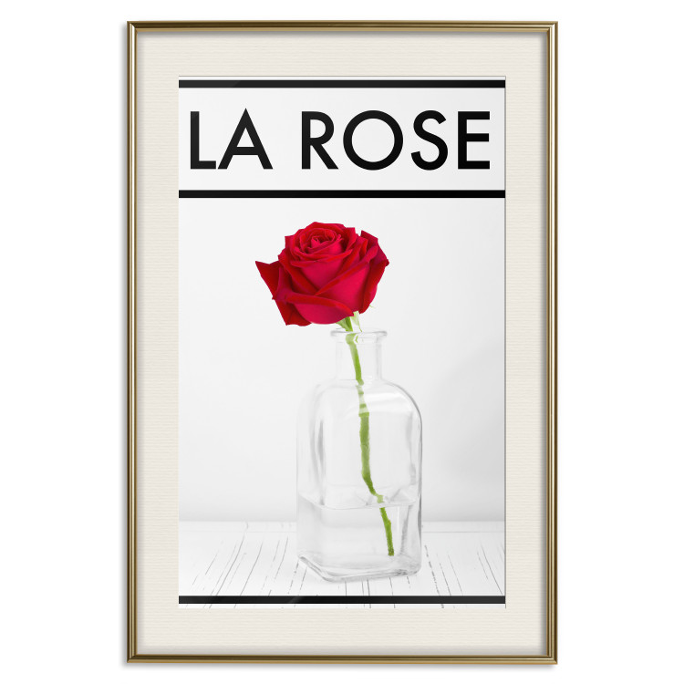 Poster The Rose - English captions and red rose flower in water-filled vase 123576 additionalImage 19