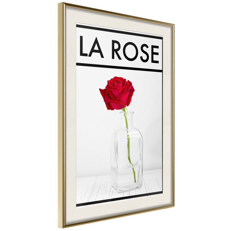 Poster The Rose - English captions and red rose flower in water-filled vase 123576 additionalImage 2