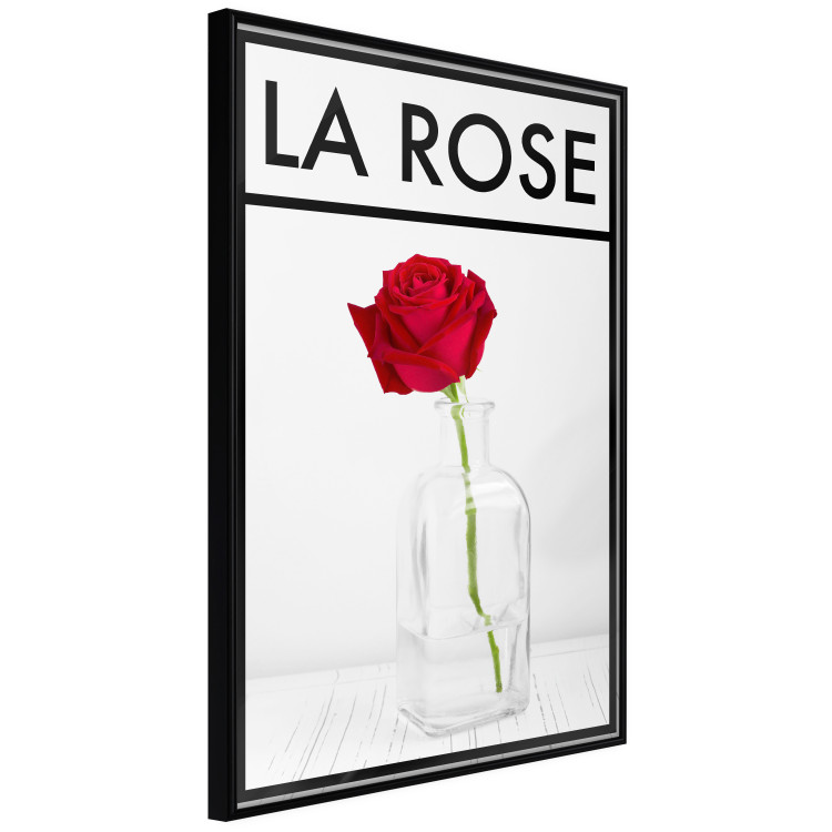 Poster The Rose - English captions and red rose flower in water-filled vase 123576 additionalImage 10