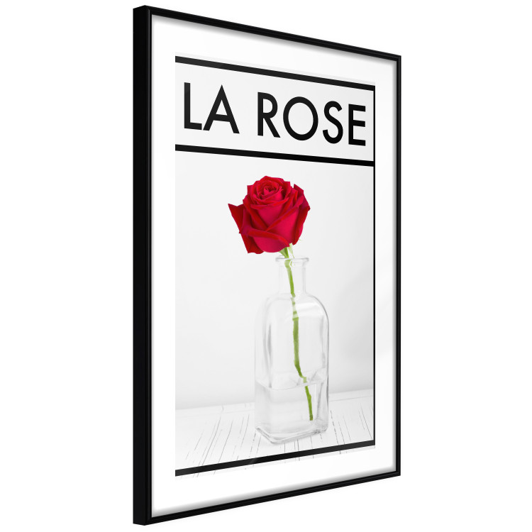 Poster The Rose - English captions and red rose flower in water-filled vase 123576 additionalImage 13