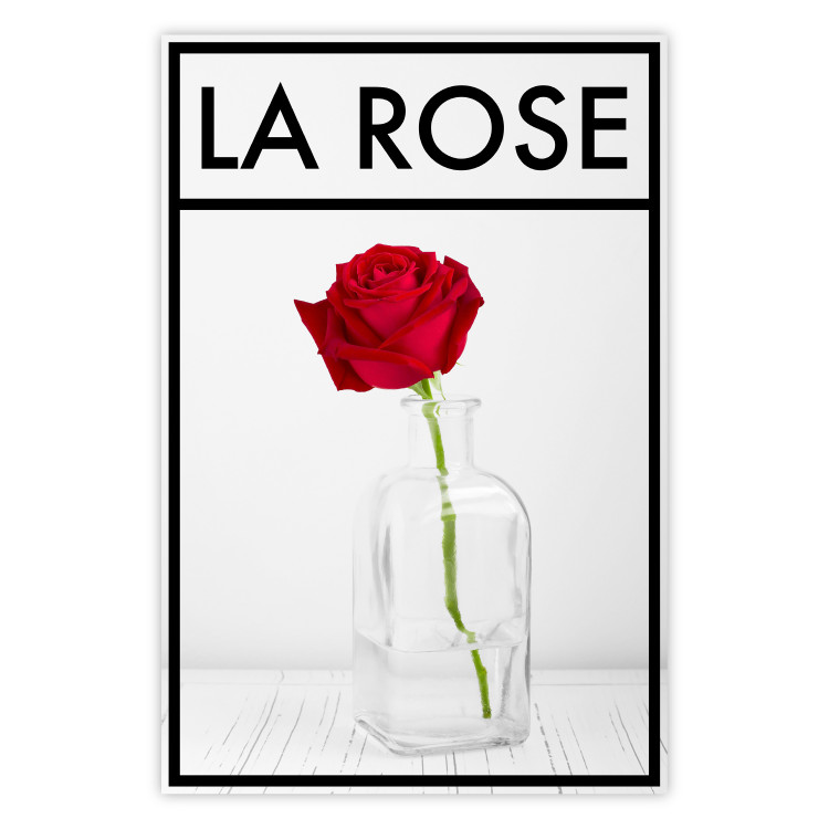 Poster The Rose - English captions and red rose flower in water-filled vase 123576
