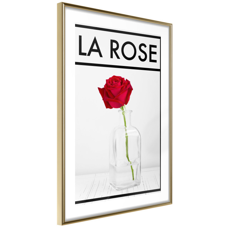 Poster The Rose - English captions and red rose flower in water-filled vase 123576 additionalImage 6