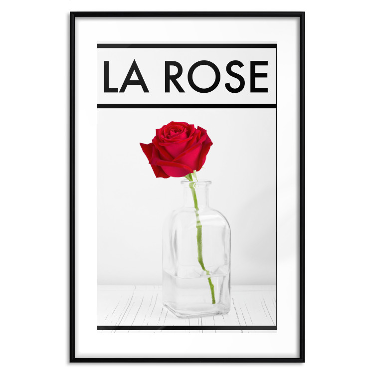 Poster The Rose - English captions and red rose flower in water-filled vase 123576 additionalImage 17