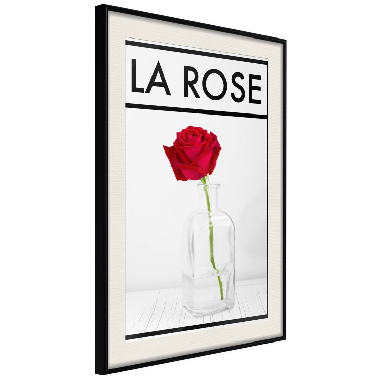 Poster The Rose - English captions and red rose flower in water-filled vase 123576 additionalImage 3