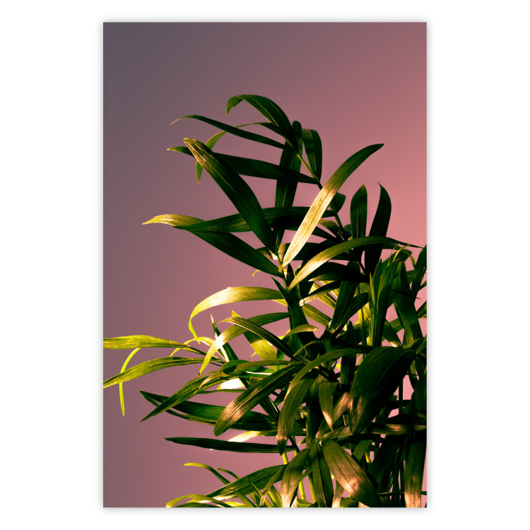 Wall Poster Botanical Detail - green leaves in light glow on pink background 123976