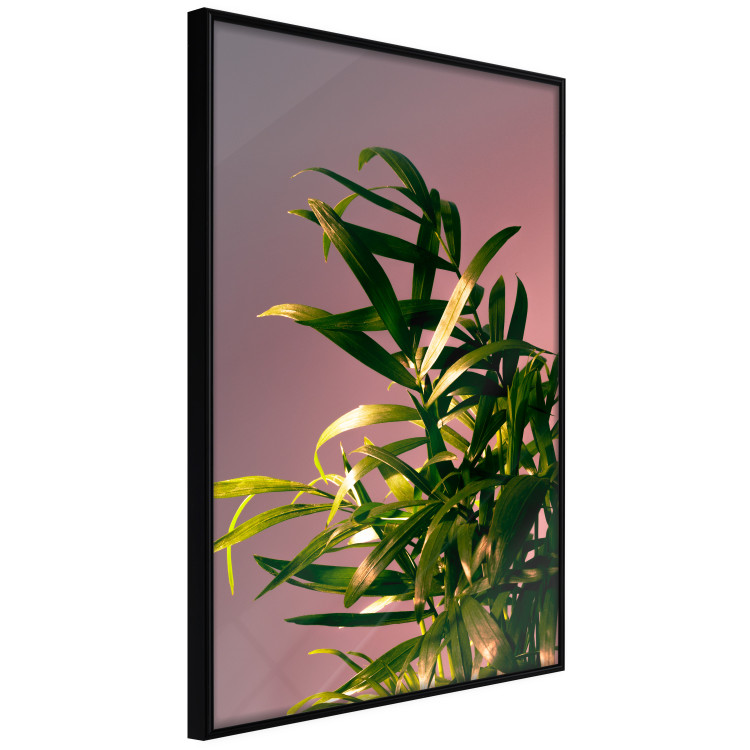 Wall Poster Botanical Detail - green leaves in light glow on pink background 123976 additionalImage 10