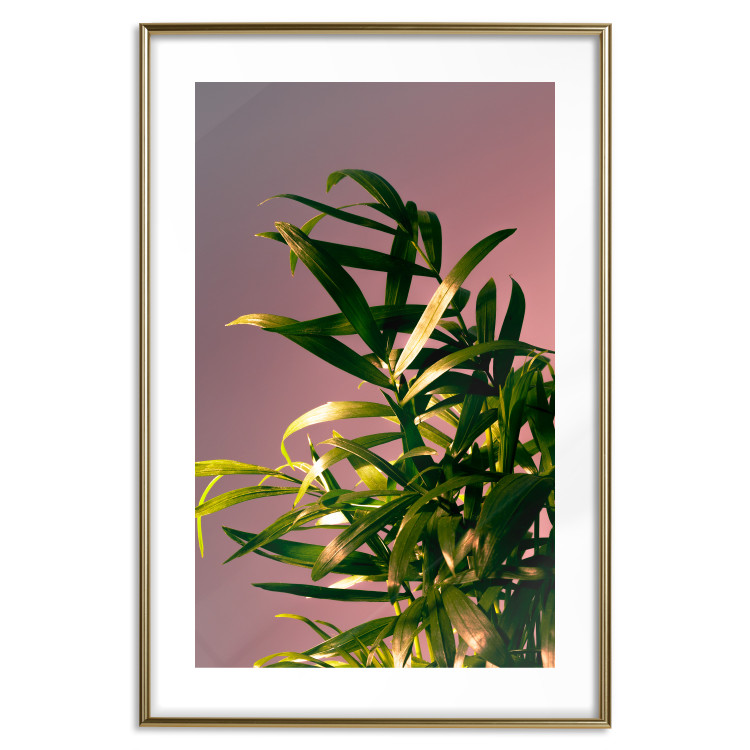 Wall Poster Botanical Detail - green leaves in light glow on pink background 123976 additionalImage 14