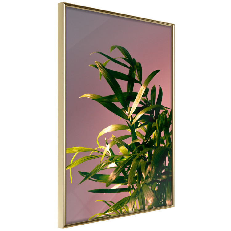 Wall Poster Botanical Detail - green leaves in light glow on pink background 123976 additionalImage 12
